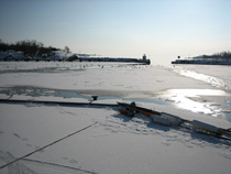 Vagga fiskehamn